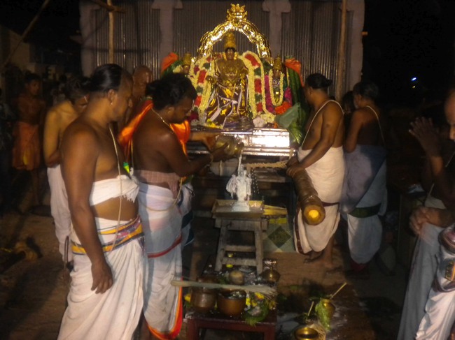 Mannargudi Brahmotsavam THiruther and  Theerthavari 2014--25