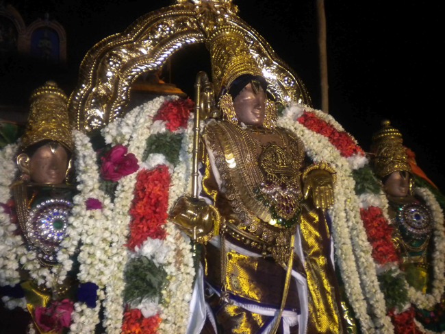 Mannargudi Brahmotsavam THiruther and  Theerthavari 2014--33
