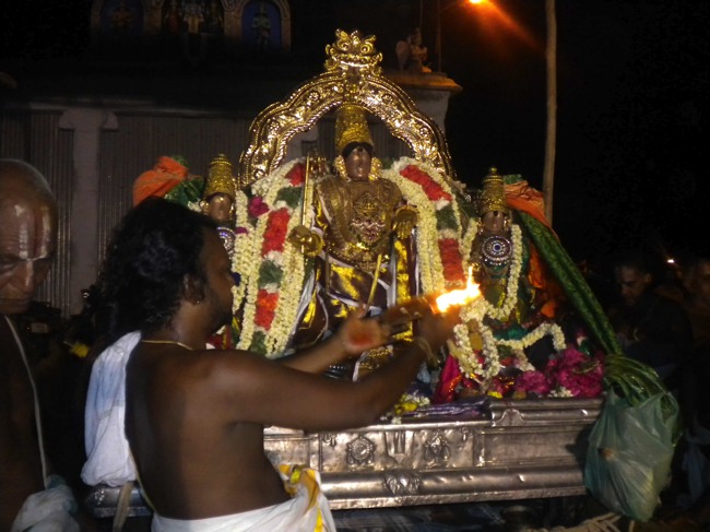 Mannargudi Brahmotsavam THiruther and  Theerthavari 2014--39
