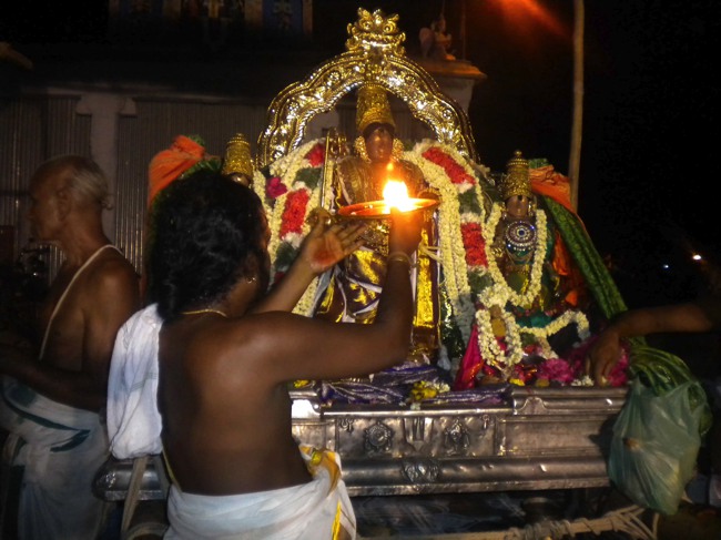 Mannargudi Brahmotsavam THiruther and  Theerthavari 2014--40