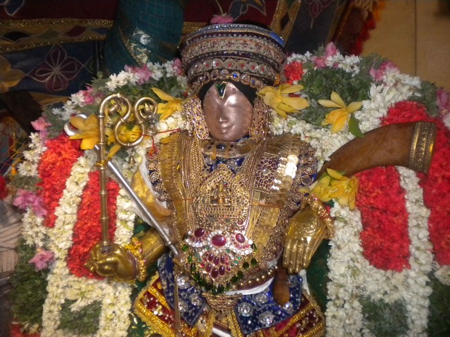 Mannargudi Brahmotsavam Yanai vahanam 2014 -03