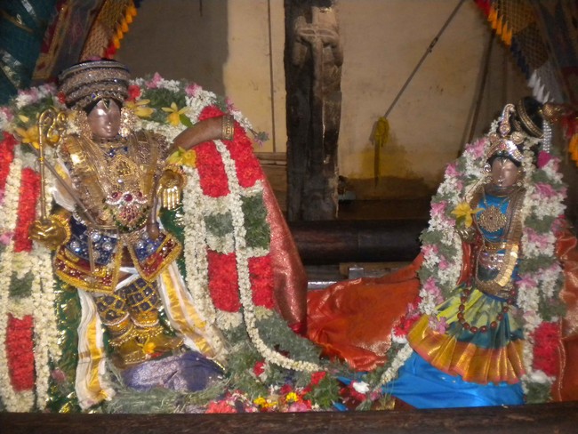 Mannargudi Brahmotsavam Yanai vahanam 2014 -06