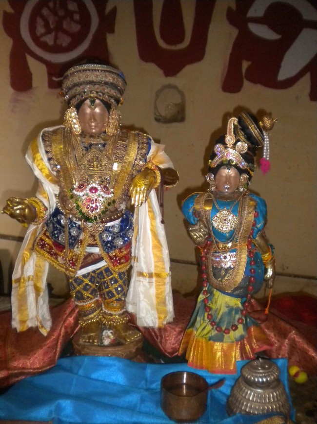Mannargudi Brahmotsavam Yanai vahanam 2014 -07