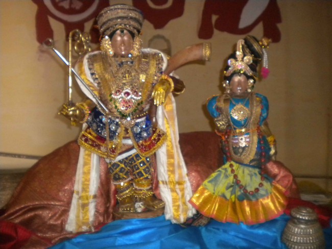Mannargudi Brahmotsavam Yanai vahanam 2014 -12