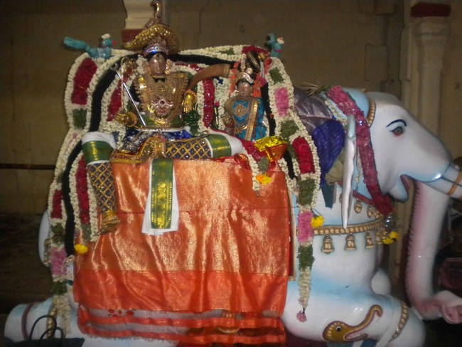 Mannargudi Brahmotsavam Yanai vahanam 2014 -14