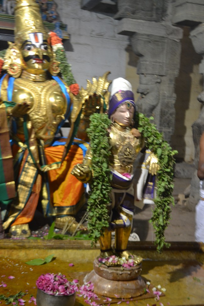 Mannargudi Garuda Vahanam 2014 -6