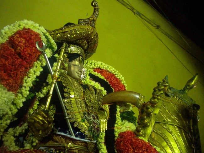 Mannargudi Rajagopalan Brahmotsavam Kudhirai Vahanam 2014 -03
