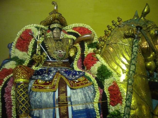 Mannargudi Rajagopalan Brahmotsavam Kudhirai Vahanam 2014 -09