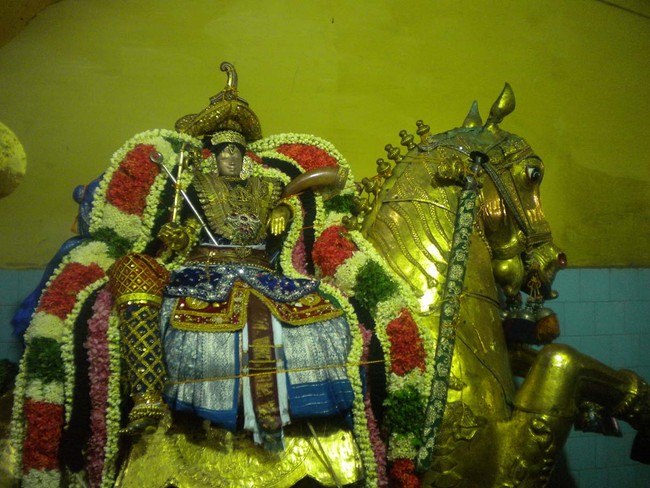 Mannargudi Rajagopalan Brahmotsavam Kudhirai Vahanam 2014 -11