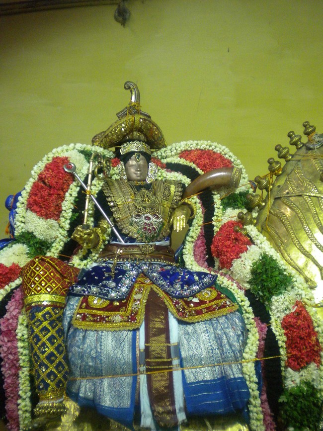 Mannargudi Rajagopalan Brahmotsavam Kudhirai Vahanam 2014 -12