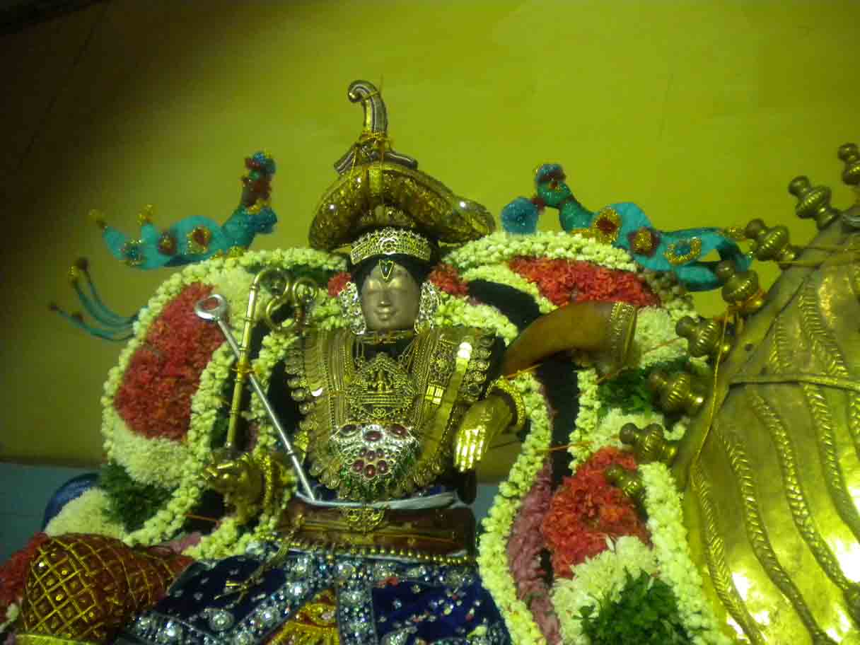 Mannargudi Rajagopalan Brahmotsavam Kudhirai Vahanam 2014 -18