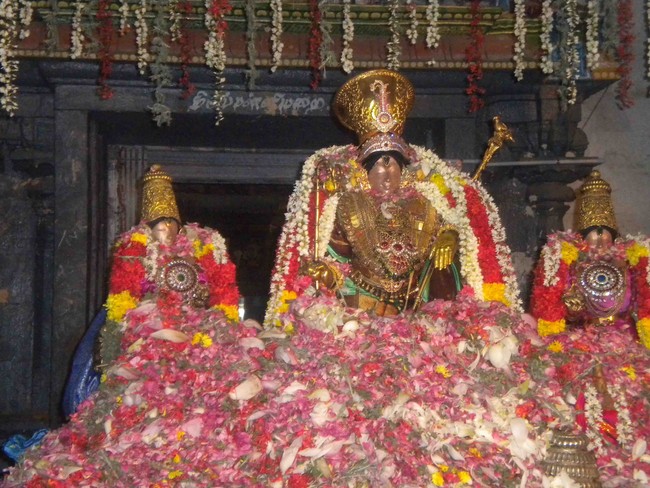 Mannargudi Rajagopalan Brahmotsavam Pushpa Yagam and Sapthavaram 2014 -2