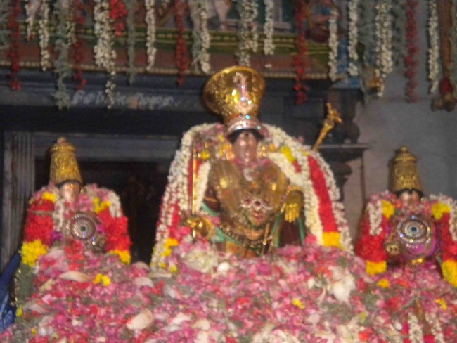 Mannargudi Rajagopalan Brahmotsavam Pushpa Yagam and Sapthavaram 2014 -3