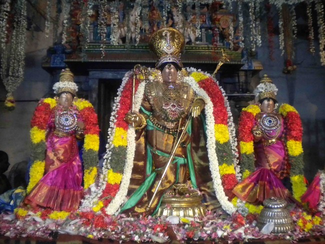 Mannargudi Rajagopalan Brahmotsavam Pushpa Yagam and Sapthavaram 2014 -4