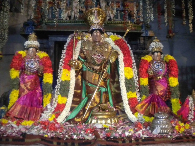 Mannargudi Rajagopalan Brahmotsavam Pushpa Yagam and Sapthavaram 2014 -5