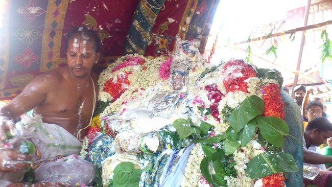 Mannargudi Rajagopalan Brahmotsavam Vennai Thazhi UTsavam 2014 -04