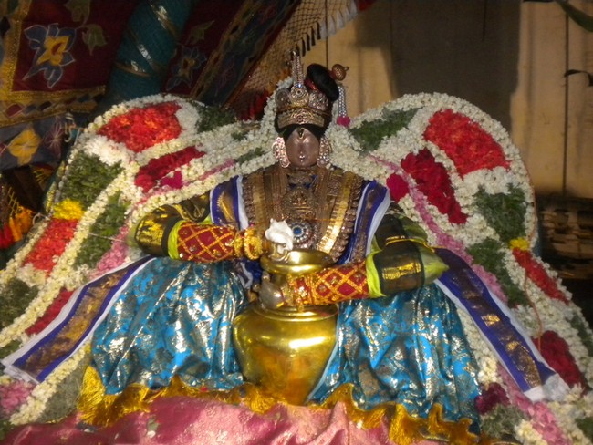 Mannargudi Rajagopalan Brahmotsavam Vennai Thazhi UTsavam 2014 -05