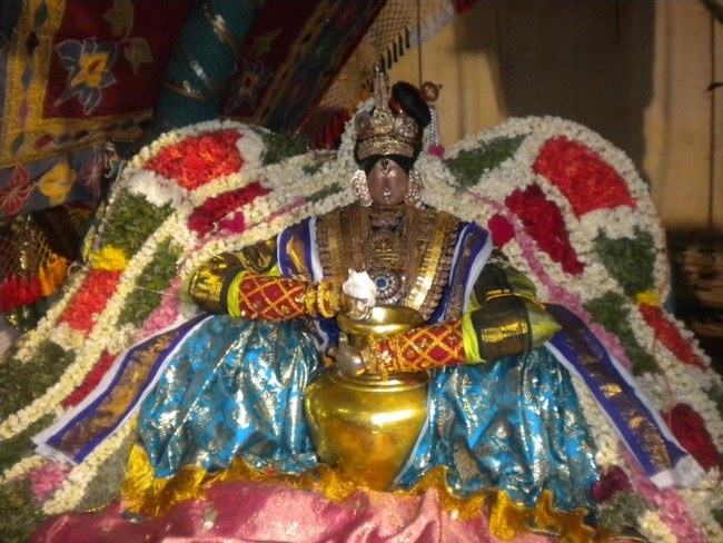 Mannargudi Rajagopalan Brahmotsavam Vennai Thazhi UTsavam 2014 -06