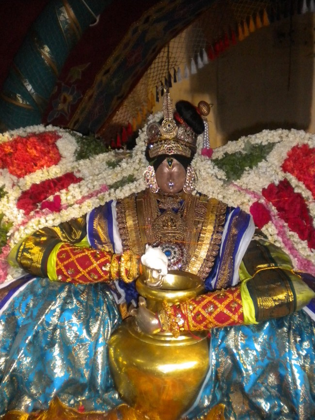 Mannargudi Rajagopalan Brahmotsavam Vennai Thazhi UTsavam 2014 -07