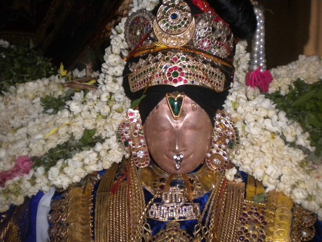 Mannargudi Rajagopalan Brahmotsavam Vennai Thazhi UTsavam 2014 -09