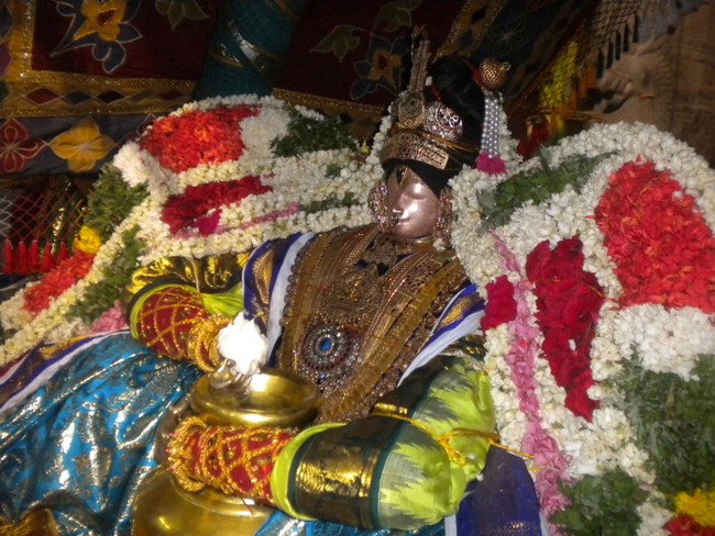 Mannargudi Rajagopalan Brahmotsavam Vennai Thazhi UTsavam 2014 -10