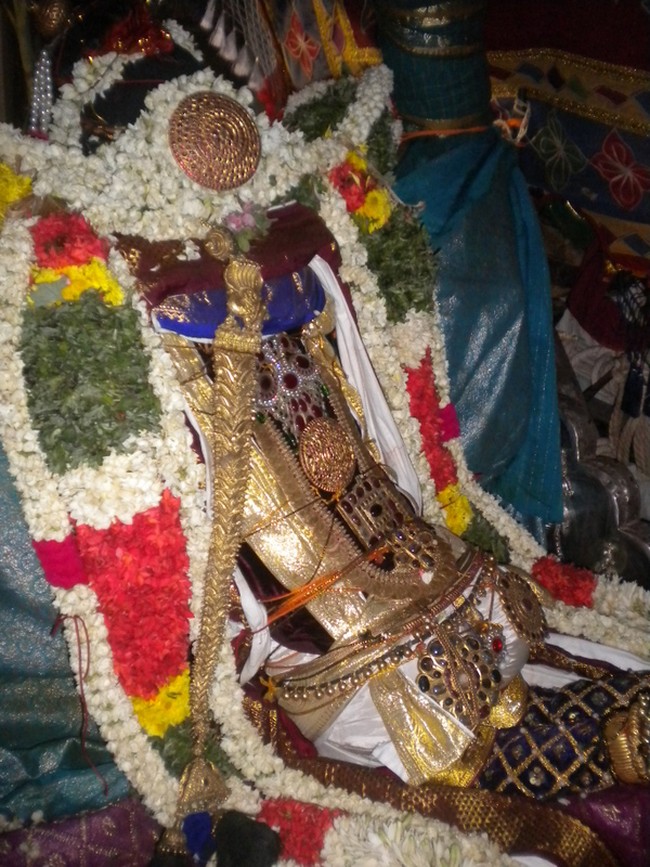 Mannargudi Rajagopalan Brahmotsavam Vennai Thazhi UTsavam 2014 -16