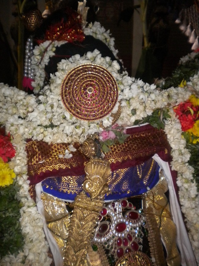 Mannargudi Rajagopalan Brahmotsavam Vennai Thazhi UTsavam 2014 -19