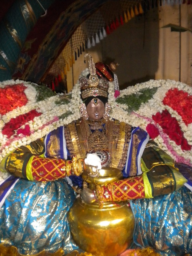 Mannargudi Rajagopalan Brahmotsavam Vennai Thazhi UTsavam 2014 -21