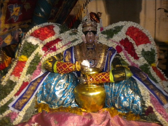 Mannargudi Rajagopalan Brahmotsavam Vennai Thazhi UTsavam 2014 -22