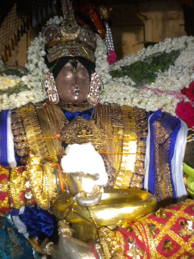 Mannargudi Rajagopalan Brahmotsavam Vennai Thazhi UTsavam 2014 -25