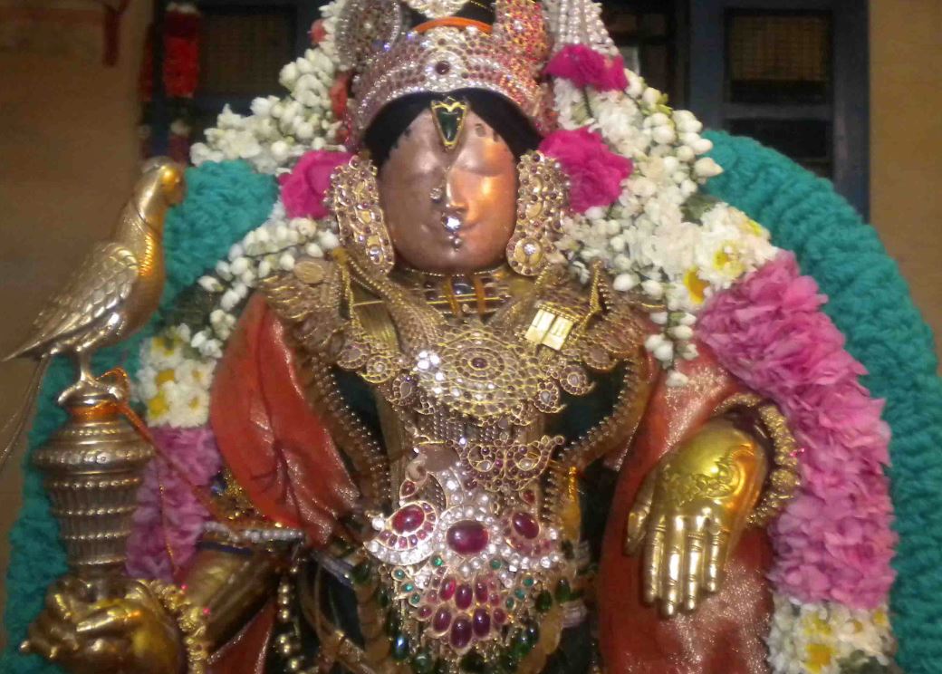 Mannargudi Rajagopalan In Nachiyar Thirukolam