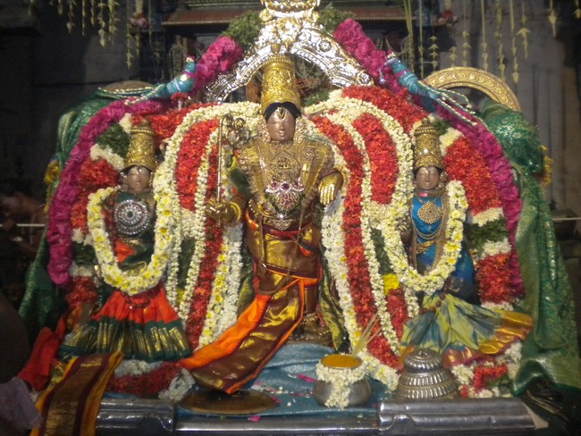 Mannargudi Rajagopalaswami Temple Brahmotsavam day 15 2014 -02