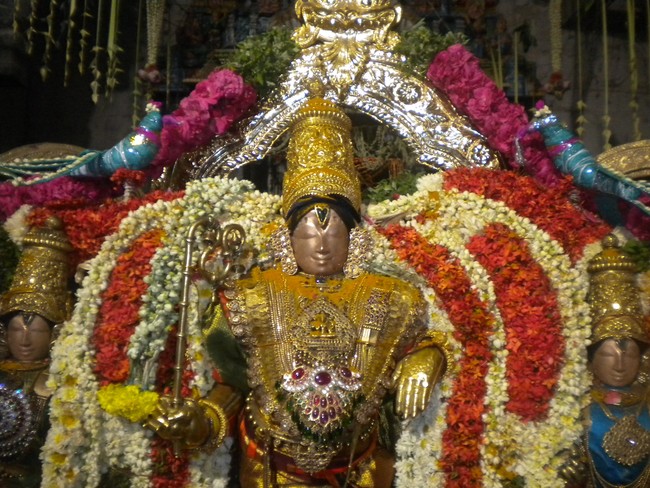 Mannargudi Rajagopalaswami Temple Brahmotsavam day 15 2014 -03