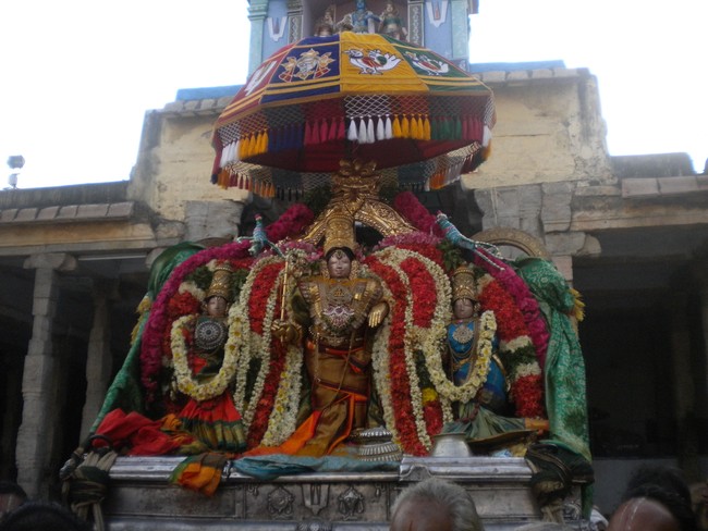 Mannargudi Rajagopalaswami Temple Brahmotsavam day 15 2014 -07