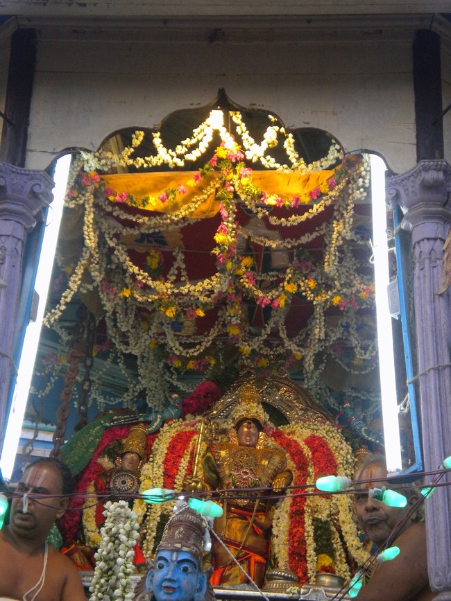 Mannargudi Rajagopalaswami Temple Brahmotsavam day 15 2014 -15