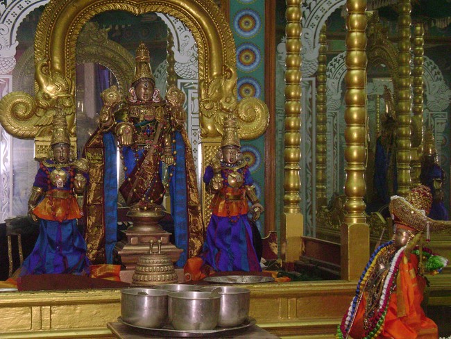 Mylai SVDD Swami Ramanujar Avatara Utsavam day 5  2014 -11