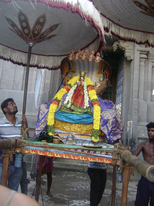 Mylapore Adhikesava Perumal Sri Bashyakarar Avatara Utsavam day 2 2014 -1
