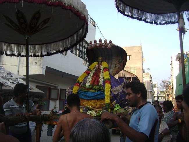 Mylapore Adhikesava Perumal Sri Bashyakarar Avatara Utsavam day 2 2014 -4