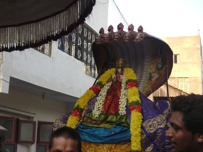 Mylapore Adhikesava Perumal Sri Bashyakarar Avatara Utsavam day 2 2014 -6