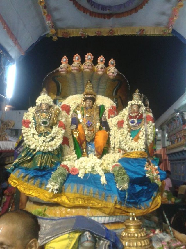 Mylapore Adhikesava Perumal temple Rama Navami Utsavam  day 4 2014 -2