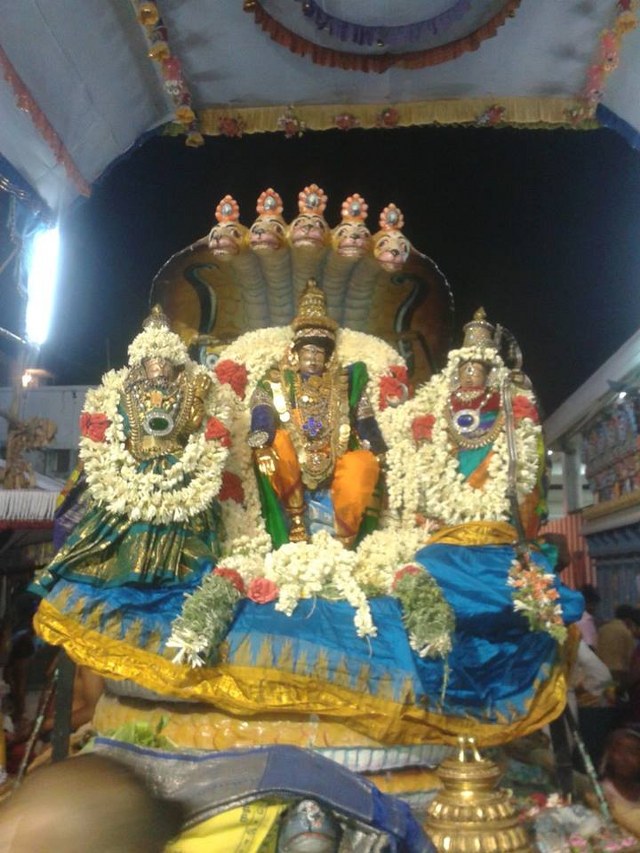 Mylapore Adhikesava Perumal temple Rama Navami Utsavam  day 4 2014 -4