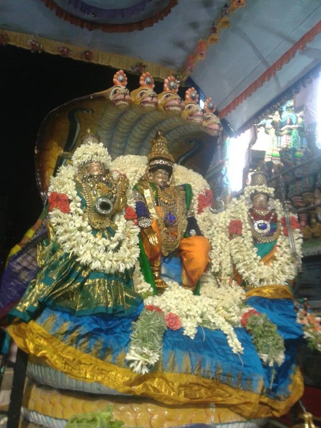Mylapore Adhikesava Perumal temple Rama Navami Utsavam  day 4 2014 -5