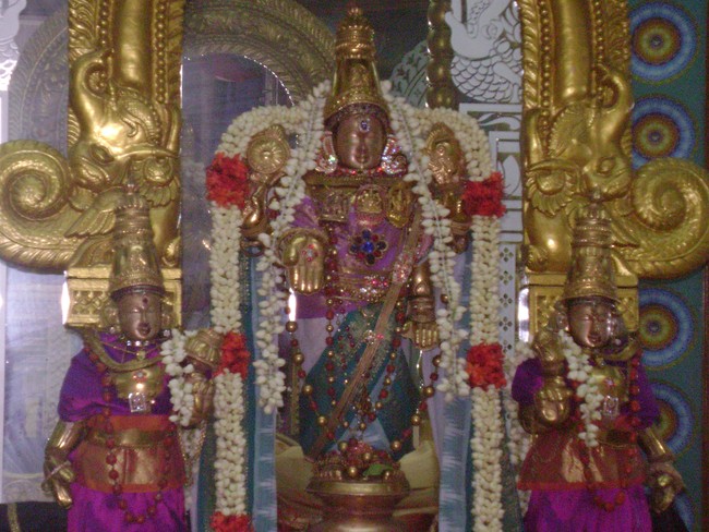 Mylapore SVDD Chitirai Sravana Purappadu 2014 -07