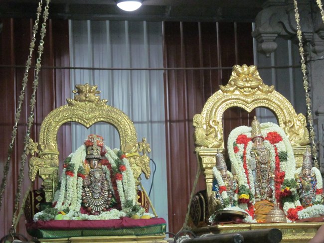 Mylapore SVDD Srinivasa Perumal Panguni Uthiram Ul Purappadu & Serthi 25