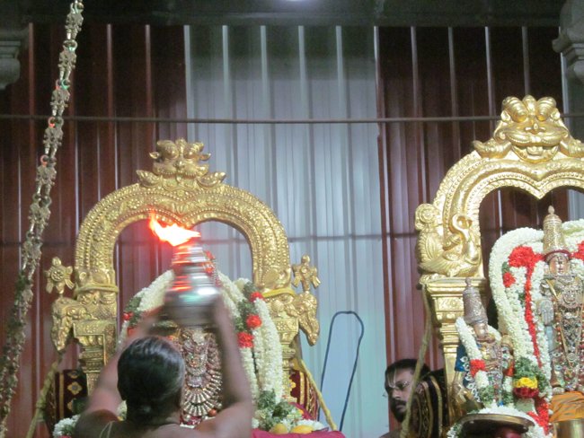Mylapore SVDD Srinivasa Perumal Panguni Uthiram Ul Purappadu & Serthi 31