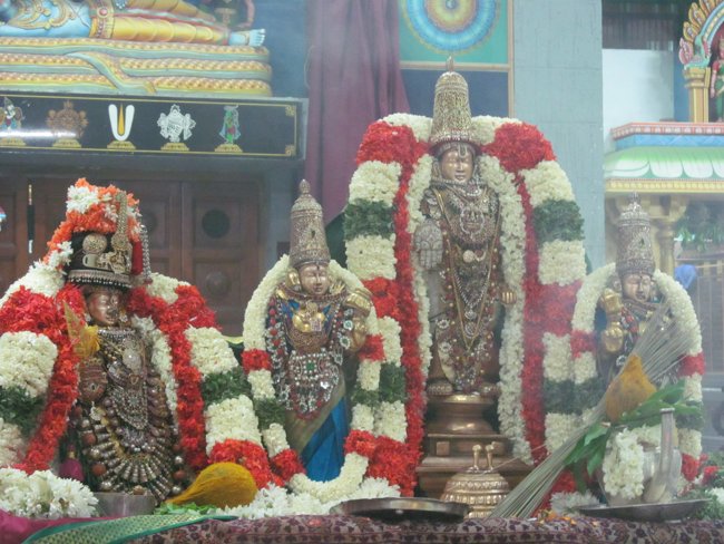 Mylapore SVDD Srinivasa Perumal Panguni Uthiram Ul Purappadu & Serthi 33