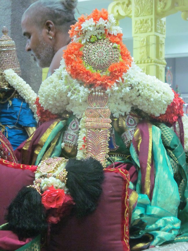 Mylapore SVDD Srinivasa Perumal Panguni Uthiram Ul Purappadu & Serthi 35