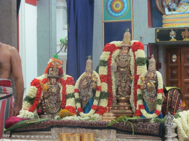 Mylapore SVDD Srinivasa Perumal Panguni Uthiram Ul Purappadu & Serthi 41