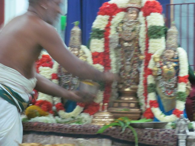 Mylapore SVDD Srinivasa Perumal Panguni Uthiram Ul Purappadu & Serthi 42