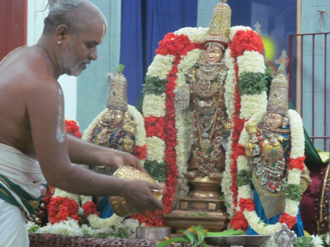 Mylapore SVDD Srinivasa Perumal Panguni Uthiram Ul Purappadu & Serthi 43